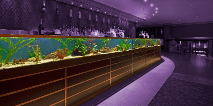 Functions and Event Bookings